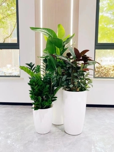 镇海花卉租赁方案案例安装教程与常见问题